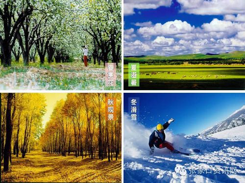 张家口春夏秋冬四季的特色?张家口年平均多少温度-图1 张家口春夏秋冬四季的特色?张家口年平均多少温度-图1