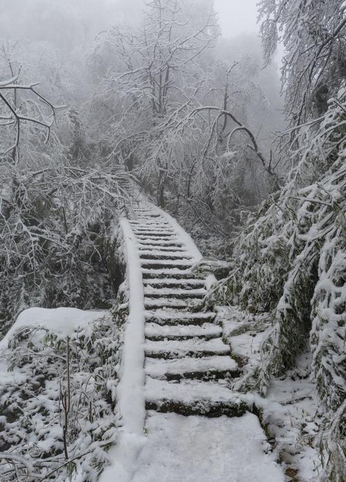 宜宾市均莲有哪几个镇啊？筠连大雪山滑雪多少钱-图2