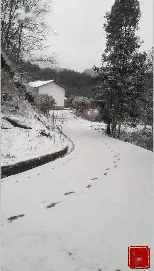 平昌佛头山下雪了吗?韩国平昌气温多少-图3 平昌佛头山下雪了吗?韩国平昌气温多少-图3