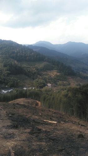 万时山多少个阶梯?大余到崇义铅厂多少-图2 万时山多少个阶梯?大余到崇义铅厂多少-图2