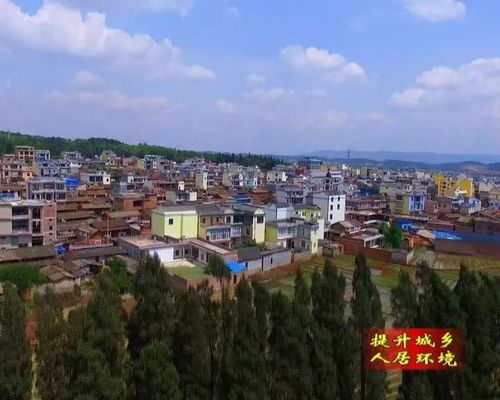 2021是什么百年?泸西金马镇有多少人口-图2 2021是什么百年?泸西金马镇有多少人口-图2
