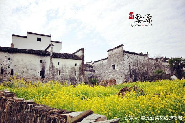 婺源怎样发音?婺源现在多少度-图3 婺源怎样发音?婺源现在多少度-图3