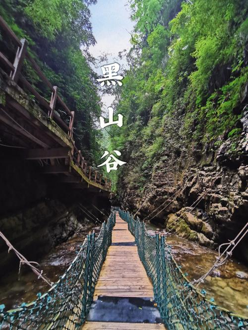 重庆到黑山谷有多远呢?重庆黑山谷平均气温是多少-图1 重庆到黑山谷有多远呢?重庆黑山谷平均气温是多少-图1