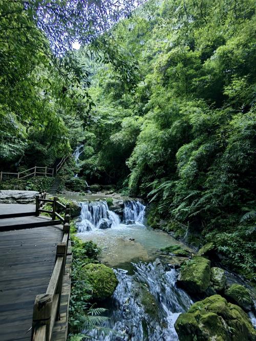 重庆到黑山谷有多远呢?重庆黑山谷平均气温是多少-图3 重庆到黑山谷有多远呢?重庆黑山谷平均气温是多少-图3