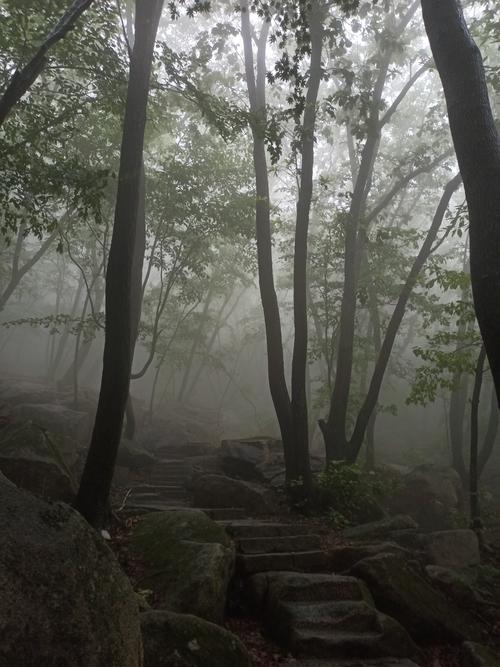 丹东凤凰山下雨能爬吗、下雨景色还好吗?今天丹东地区有雨吗多少度-图3 丹东凤凰山下雨能爬吗、下雨景色还好吗?今天丹东地区有雨吗多少度-图3