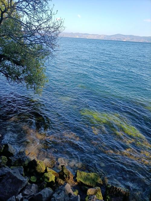 抚仙湖夏天最高温度?云南澄江天气多少度-图3 抚仙湖夏天最高温度?云南澄江天气多少度-图3
