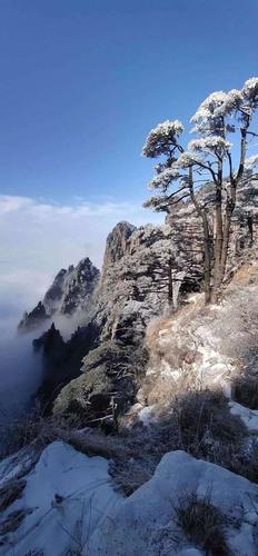 黄山现在多少度?黄山冬季最低温度是多少-图2 黄山现在多少度?黄山冬季最低温度是多少-图2