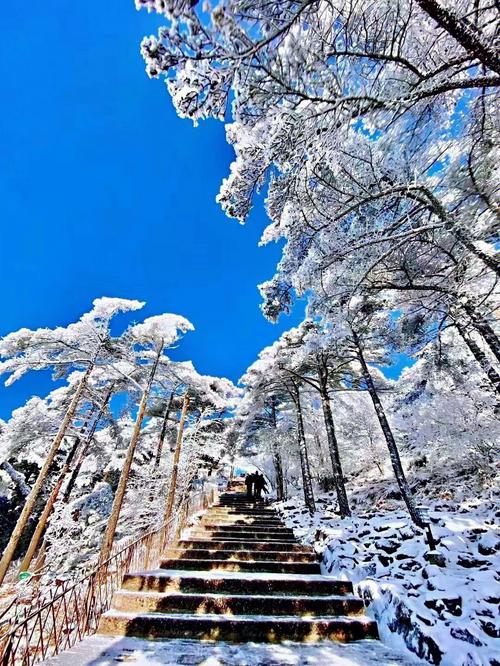 黄山现在多少度?黄山冬季最低温度是多少-图1 黄山现在多少度?黄山冬季最低温度是多少-图1