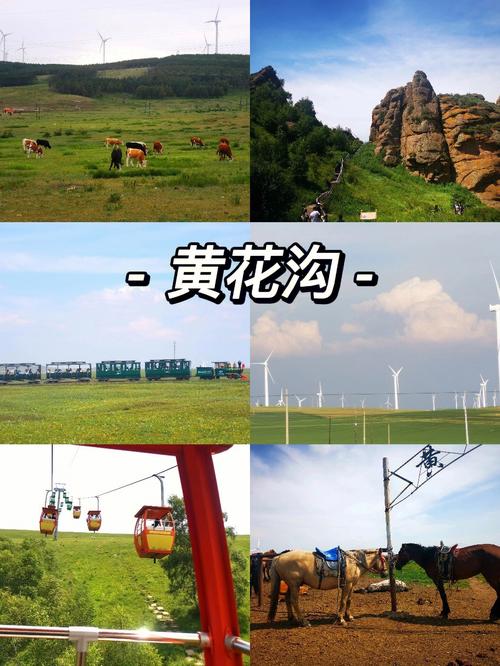 去黄花沟准备点什么?黄花黄花沟多少温度-图1 去黄花沟准备点什么?黄花黄花沟多少温度-图1