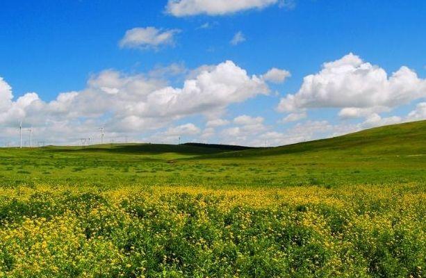 去黄花沟准备点什么?黄花黄花沟多少温度-图3 去黄花沟准备点什么?黄花黄花沟多少温度-图3