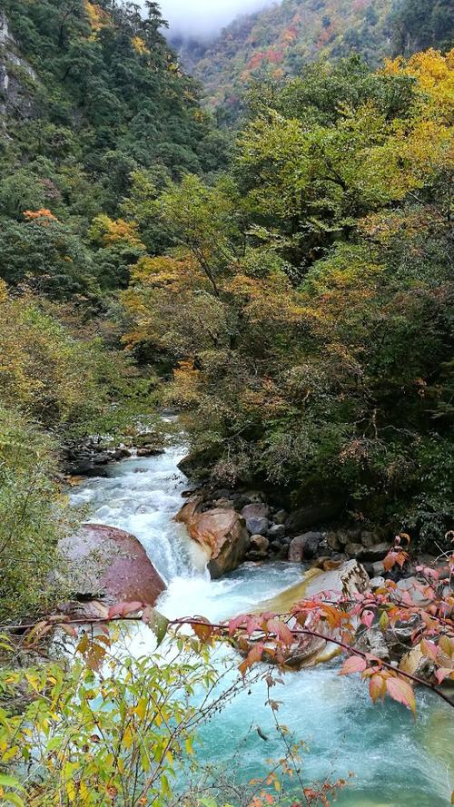 四川夏天避暑最佳旅游地?东拉山大峡谷七八月气温多少-图1 四川夏天避暑最佳旅游地?东拉山大峡谷七八月气温多少-图1