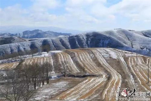冬天张家口坝上有多冷？康保明天温度是多少钱-图3