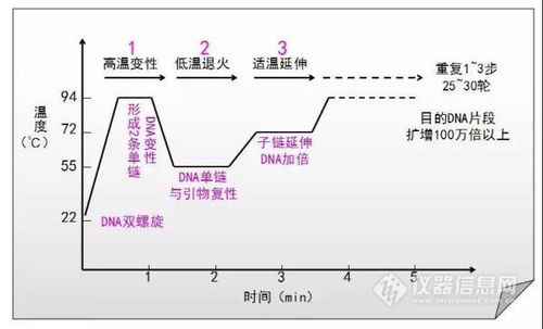 在PCR扩增实验中应注意什么?泉港七月份温度多少-图3 在PCR扩增实验中应注意什么?泉港七月份温度多少-图3