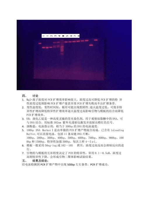 在PCR扩增实验中应注意什么?泉港七月份温度多少-图2 在PCR扩增实验中应注意什么?泉港七月份温度多少-图2