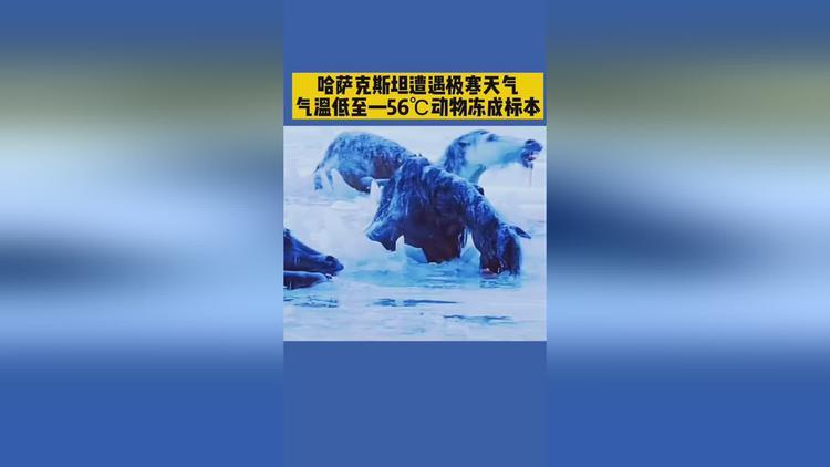 哈萨克斯坦有多冷?哈萨克斯坦最高气温多少度-图3 哈萨克斯坦有多冷?哈萨克斯坦最高气温多少度-图3