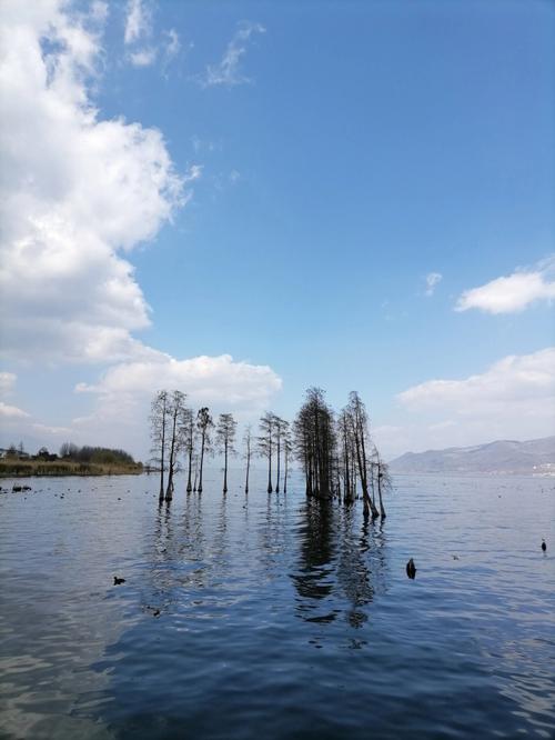 2023大理洱海下雨还能玩吗?现在云南洱海温度是在多少度-图2 2023大理洱海下雨还能玩吗?现在云南洱海温度是在多少度-图2