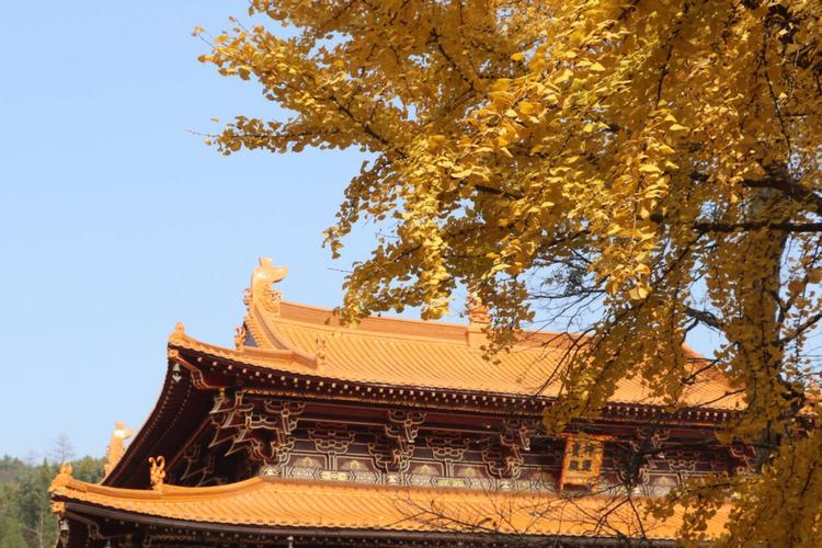 东林寺11月份气温多少度?东林寺的气温是多少-图3 东林寺11月份气温多少度?东林寺的气温是多少-图3