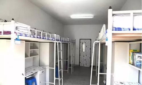 辽阳职业技术学院冬天宿舍有供暖吗?辽阳气温多少-图1 辽阳职业技术学院冬天宿舍有供暖吗?辽阳气温多少-图1