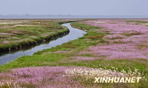 抚州避暑必去十大景点?永修县最高气温多少-图3 抚州避暑必去十大景点?永修县最高气温多少-图3