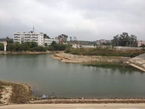 南宁最大的水库排行?博白到大坝镇多少公里-图2 南宁最大的水库排行?博白到大坝镇多少公里-图2