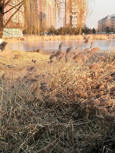红河州冬季风大吗?建水冬季温度多少-图3 红河州冬季风大吗?建水冬季温度多少-图3