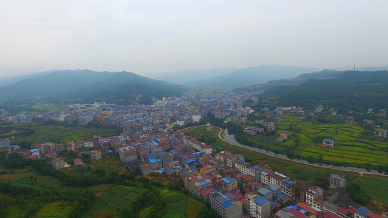 剑阁白龙有多厉害?南部到剑阁白龙多少钱-图2 剑阁白龙有多厉害?南部到剑阁白龙多少钱-图2