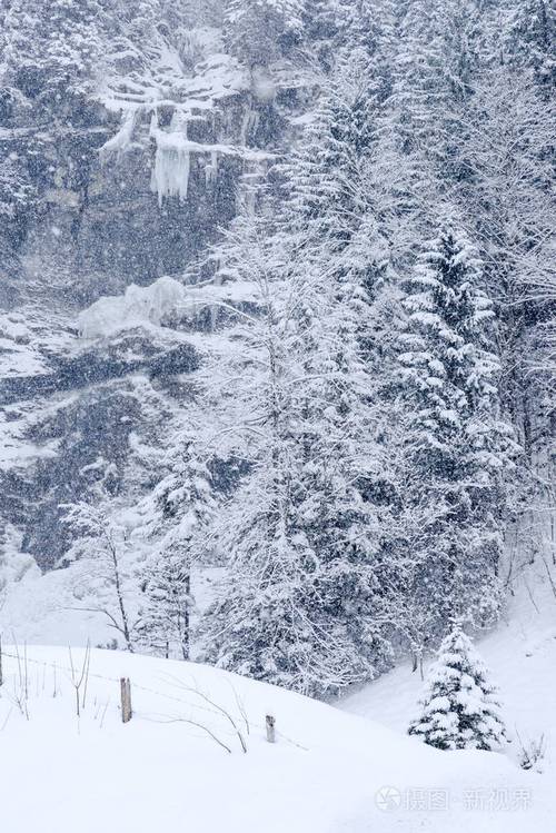 瑞士下雪了吗?瑞士11月下旬气温多少-图1 瑞士下雪了吗?瑞士11月下旬气温多少-图1