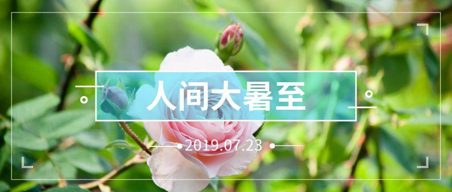 大暑结束时间?大暑的时间是多少-图3 大暑结束时间?大暑的时间是多少-图3