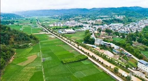 昌宁勐统银山茶怎么样?昌宁到勐统多少公里-图3 昌宁勐统银山茶怎么样?昌宁到勐统多少公里-图3