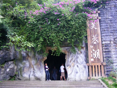 温州永嘉有什么好玩的地方?芙蓉仙洞票价多少-图2 温州永嘉有什么好玩的地方?芙蓉仙洞票价多少-图2