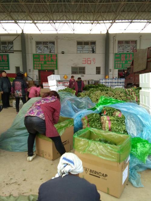 邯郸市蔬菜批发市场几点开门?邯郸明天多少度-图1 邯郸市蔬菜批发市场几点开门?邯郸明天多少度-图1