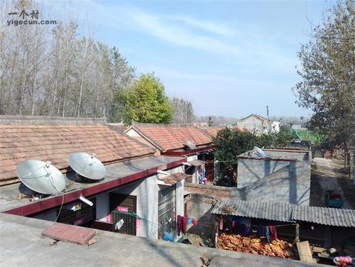 河南省周口市淮阳县齐老乡付楼村邮编是什么?淮阳齐老乡有多少村-图2 河南省周口市淮阳县齐老乡付楼村邮编是什么?淮阳齐老乡有多少村-图2