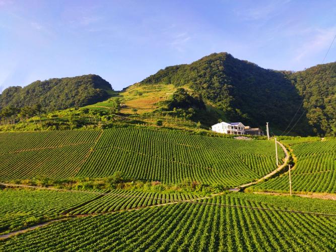 中国高山蔬菜种植基地?火烧坪海拔多少-图1 中国高山蔬菜种植基地?火烧坪海拔多少-图1