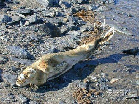 世界八大恐怖禁地?拉斯维加斯最热多少度-图2 世界八大恐怖禁地?拉斯维加斯最热多少度-图2
