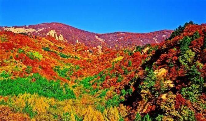 密云十大红叶风景区?雾灵山夏天温度多少-图3 密云十大红叶风景区?雾灵山夏天温度多少-图3