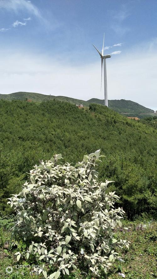云南昭通巧家冬季气温是多少?2016巧家夏天气温多少-图3 云南昭通巧家冬季气温是多少?2016巧家夏天气温多少-图3