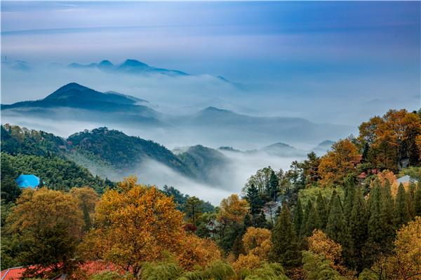 莫干山气温为什么低?东天目山里气温多少-图1 莫干山气温为什么低?东天目山里气温多少-图1