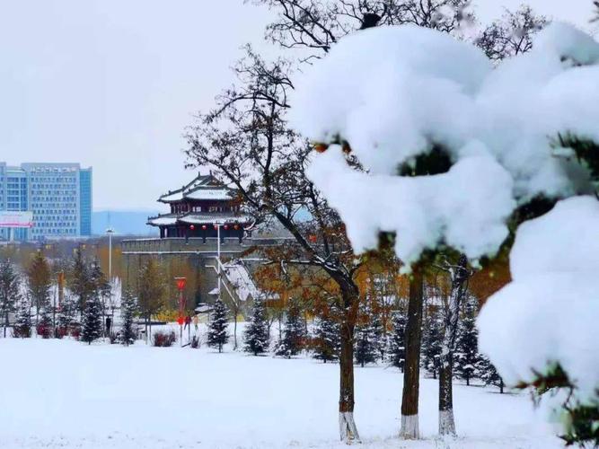 辽阳地区适合种什么?辽阳冬天最低气温多少度-图1 辽阳地区适合种什么?辽阳冬天最低气温多少度-图1