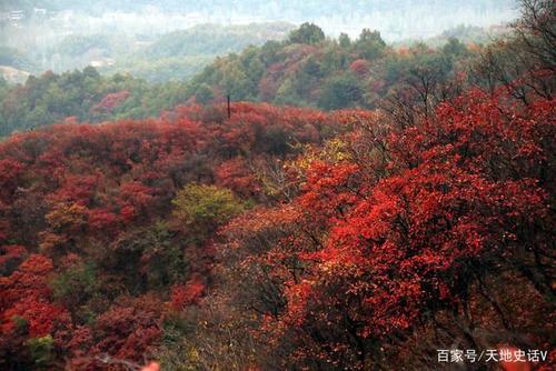 洛阳白云山红叶最佳时间?嵩县气温多少-图3 洛阳白云山红叶最佳时间?嵩县气温多少-图3