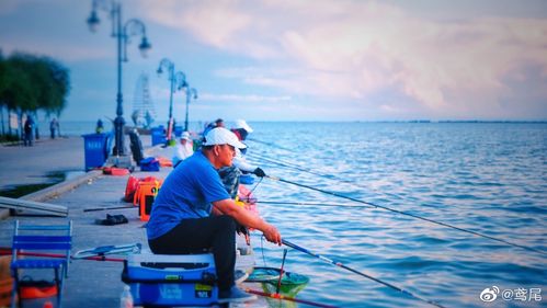 查干湖钓鱼哪个位置好?查干湖气温度多少-图2 查干湖钓鱼哪个位置好?查干湖气温度多少-图2