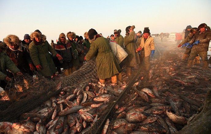 查干湖钓鱼哪个位置好?查干湖气温度多少-图1 查干湖钓鱼哪个位置好?查干湖气温度多少-图1