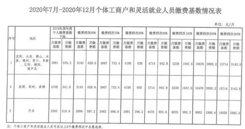 沈阳居民社保每年交8000交满15年每月能开多钱?沈阳8月15日天气温度是多少钱-图2 沈阳居民社保每年交8000交满15年每月能开多钱?沈阳8月15日天气温度是多少钱-图2
