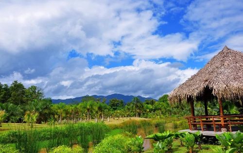西双版纳近期天气适合旅游吗?今天西双版纳温度多少度-图3 西双版纳近期天气适合旅游吗?今天西双版纳温度多少度-图3
