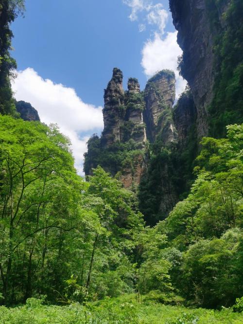 张家界国家森林公园气温?张家界风景区今天温度多少钱-图3 张家界国家森林公园气温?张家界风景区今天温度多少钱-图3