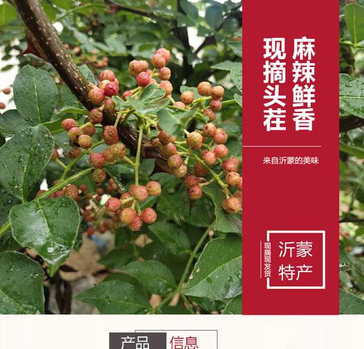 2021山东十大农业排名？山东章丘花椒多少钱一斤-图2