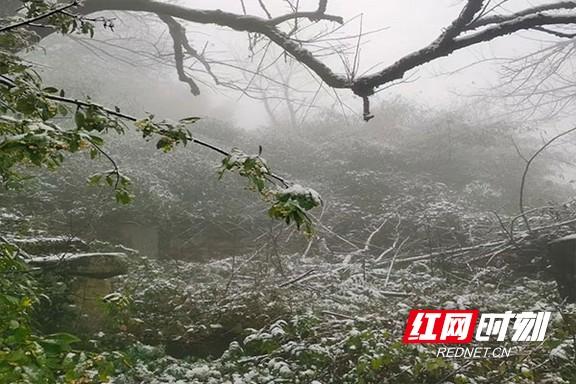 益阳桃江下雪了吗?桃江县气温历史最低是多少度-图2 益阳桃江下雪了吗?桃江县气温历史最低是多少度-图2