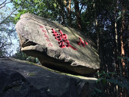 鼓岭夏天气温多少度?鼓山的温度多少合适-图1 鼓岭夏天气温多少度?鼓山的温度多少合适-图1