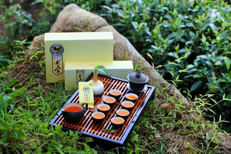 阳西有什么特产?阳西县东水山茶多少钱一盒-图3 阳西有什么特产?阳西县东水山茶多少钱一盒-图3