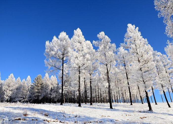 根河市夏天在下雪吗?根河市现在天气是多少-图2 根河市夏天在下雪吗?根河市现在天气是多少-图2
