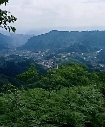 宜宾市筠莲县有多少个镇?筠连蒿坝镇夏季平均气温多少-图1 宜宾市筠莲县有多少个镇?筠连蒿坝镇夏季平均气温多少-图1